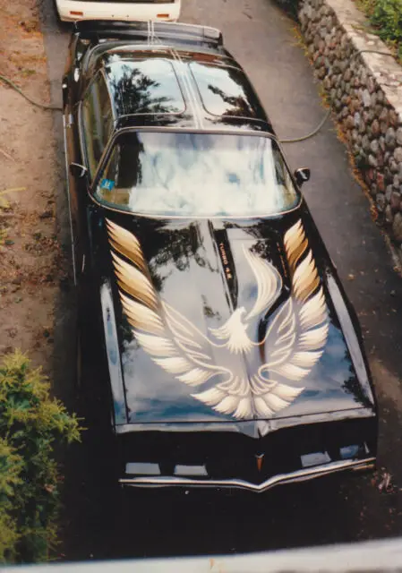 1980 Pontiac Trans Am