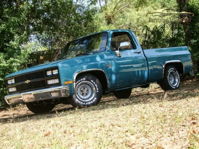 1981 Chevrolet Silverado 1500 C/K10