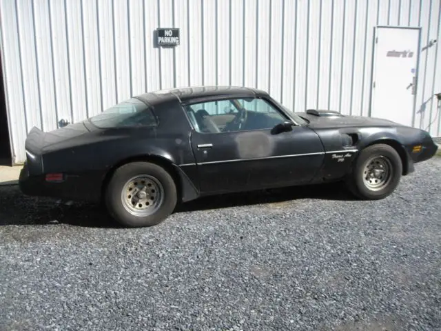 1979 Pontiac Trans Am y84