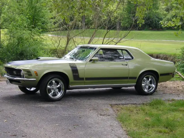 1970 Ford Mustang CUSTOM