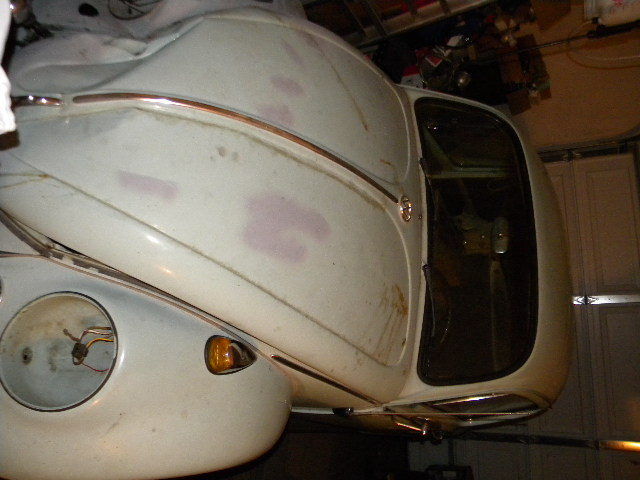 1966 Volkswagen Beetle - Classic type 1