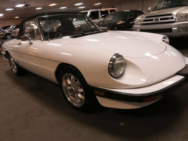 1985 Alfa Romeo Spider VELOCE CONVERTIBLE