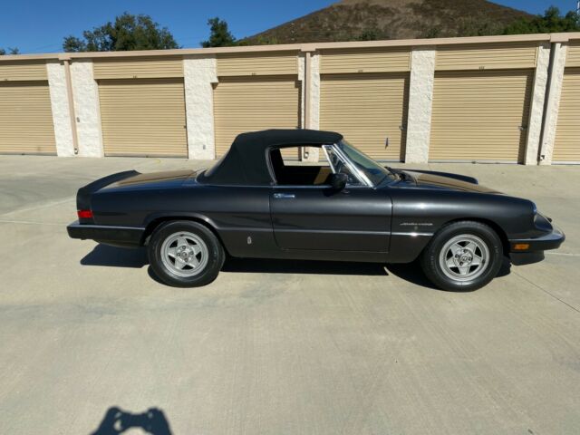 1984 Alfa Romeo Spider