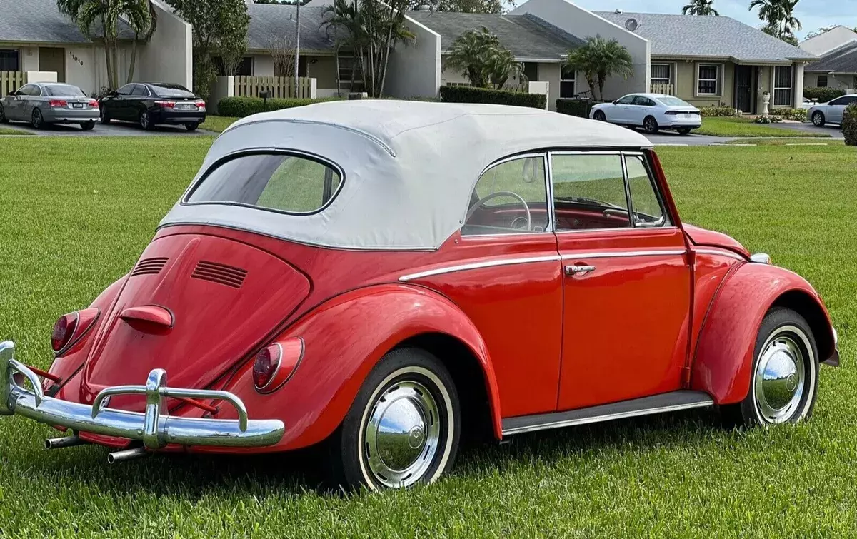 1965 Volkswagen Beetle - Classic