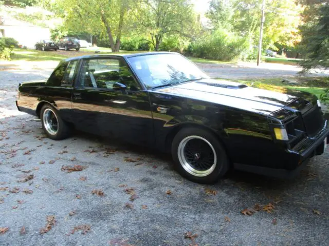 1987 Buick Grand National grand national