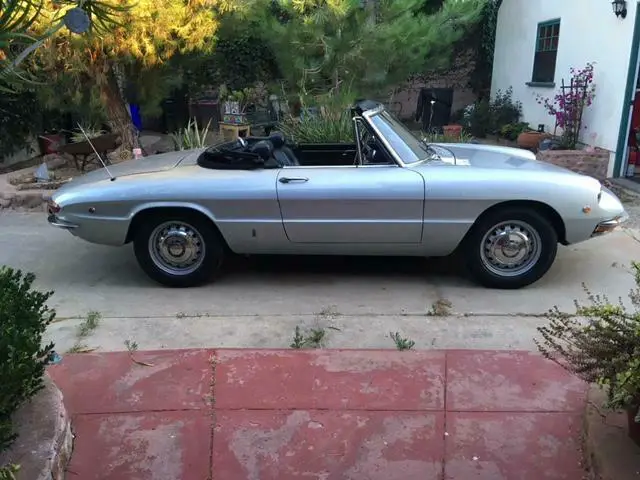 1969 Alfa Romeo Spider