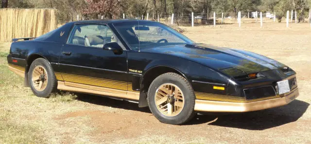 1984 Pontiac Firebird Firebird Trans Am