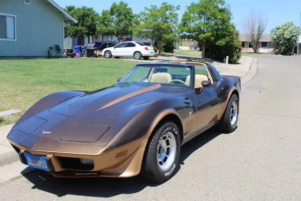 1979 Chevrolet Corvette HIGHEST OPTION AVAILABLE PACER PACKAGE