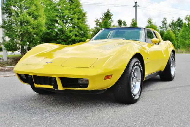 1979 Chevrolet Corvette not and better one anywhere 27ks