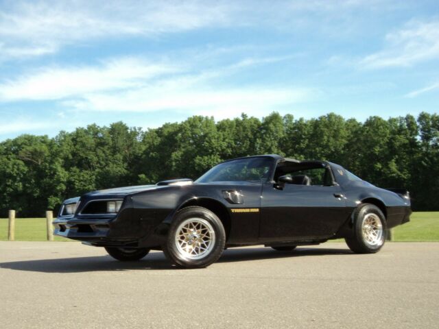 1980 Pontiac Firebird TRANS AM