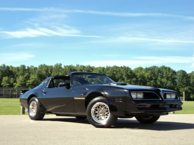 1980 Pontiac Firebird TRANS AM