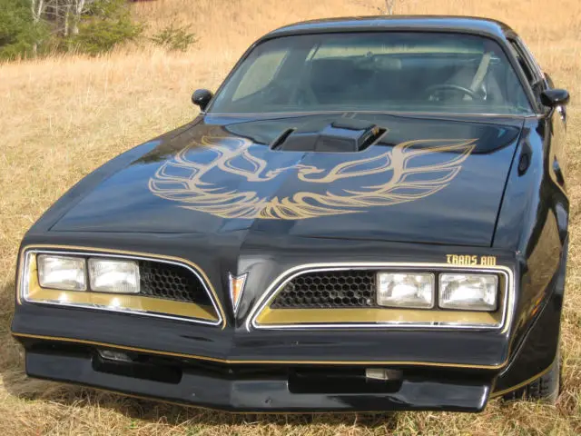 1977 Pontiac Trans Am Black and Gold factory car.