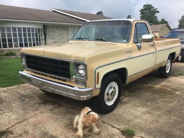 1978 Chevrolet C-10 Silverado