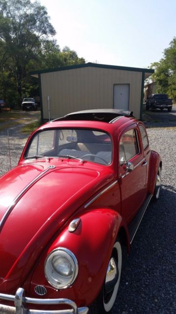 Volkswagen Bug 1962 Ragtop VW Beetle for sale