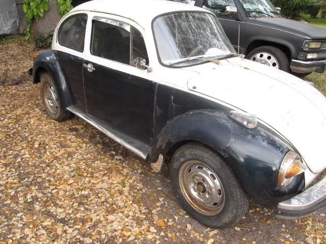 1974 Volkswagen Beetle - Classic