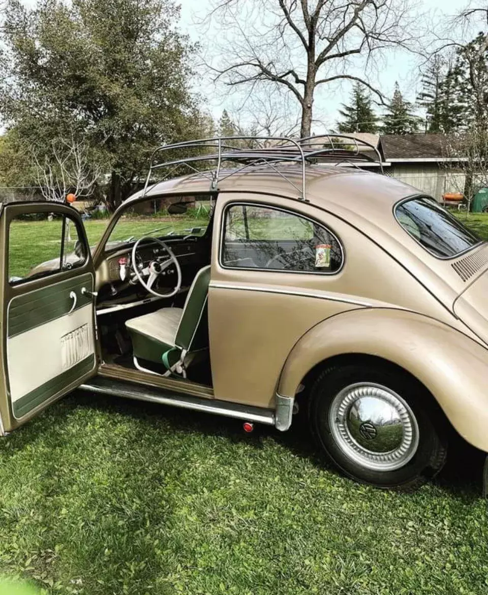 1958 Volkswagen Beetle - Classic deluxe