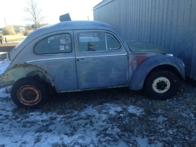 1964 Volkswagen Beetle - Classic