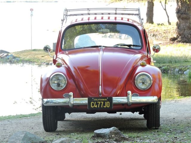 1967 Volkswagen Beetle - Classic Bug - Restored - NO RESERVE
