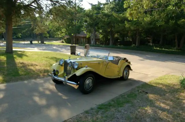 1981 Volkswagen Kit Car