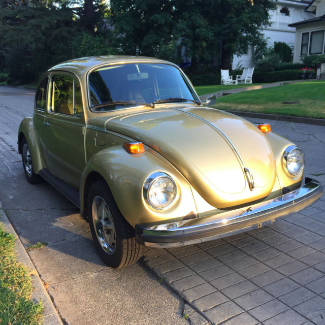 1974 Volkswagen Beetle - Classic Sunbug Special Edition