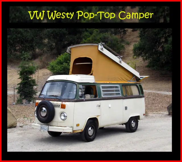 1976 Volkswagen Bus/Vanagon