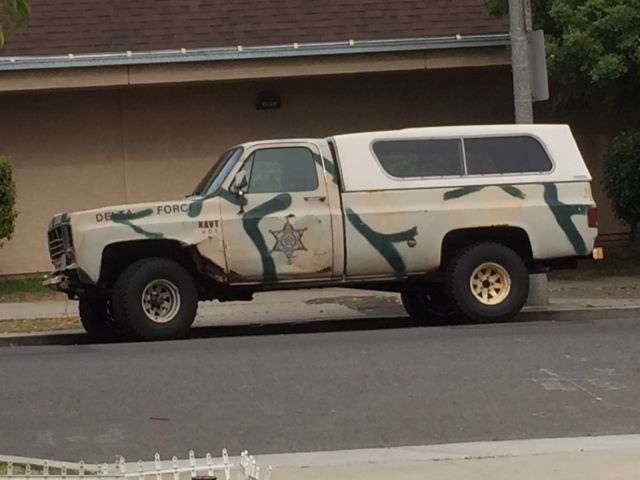 1974 Chevrolet Cheyenne