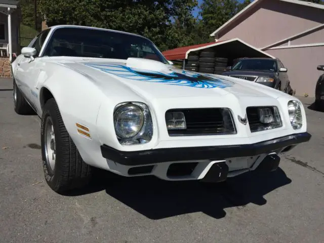 1975 Pontiac Firebird WS4