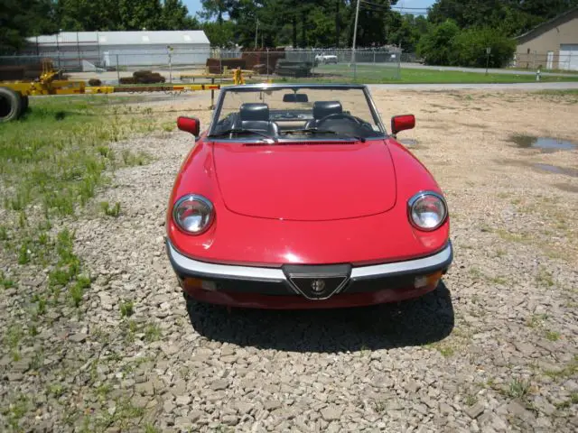 1986 Alfa Romeo Spider